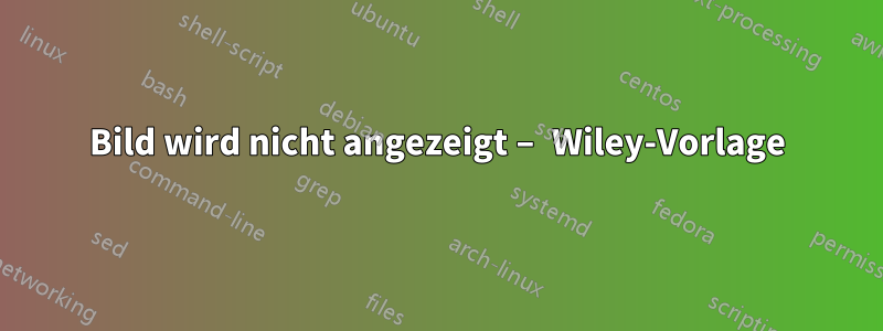 Bild wird nicht angezeigt – Wiley-Vorlage