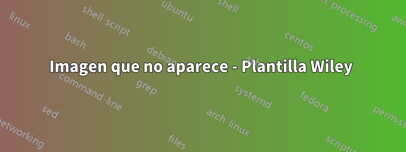 Imagen que no aparece - Plantilla Wiley