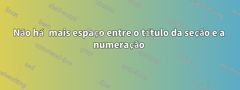 Não há mais espaço entre o título da seção e a numeração