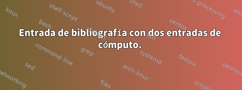 Entrada de bibliografía con dos entradas de cómputo.