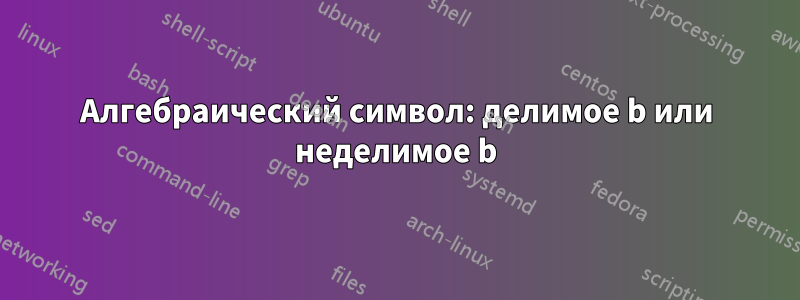 Алгебраический символ: делимое b или неделимое b