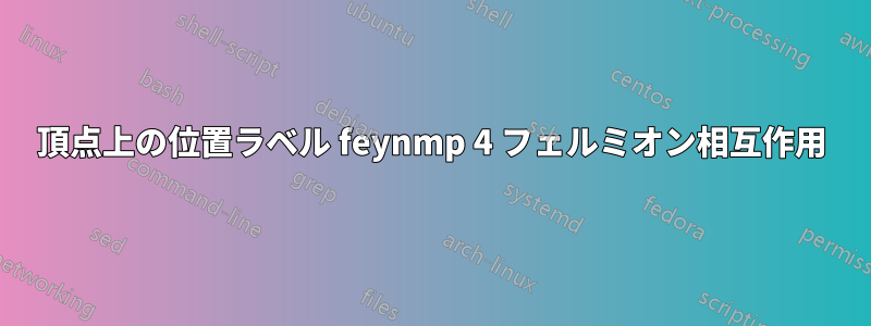 頂点上の位置ラベル feynmp 4 フェルミオン相互作用