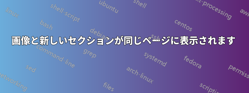 画像と新しいセクションが同じページに表示されます