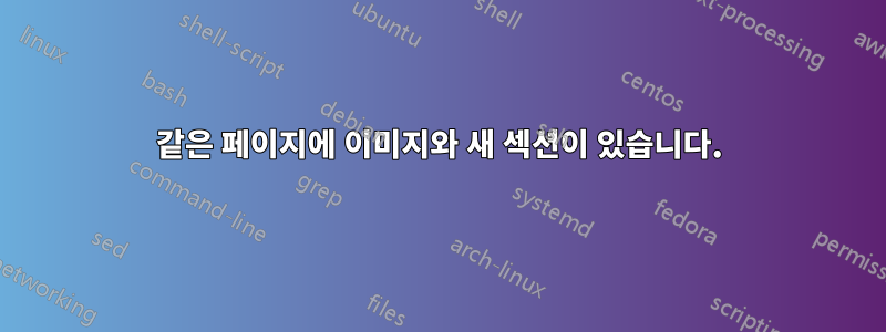 같은 페이지에 이미지와 새 섹션이 있습니다.