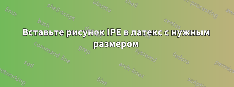 Вставьте рисунок IPE в латекс с нужным размером