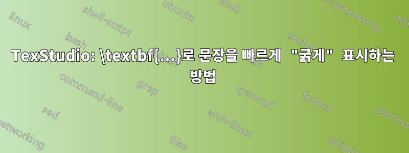 TexStudio: \textbf{...}로 문장을 빠르게 "굵게" 표시하는 방법