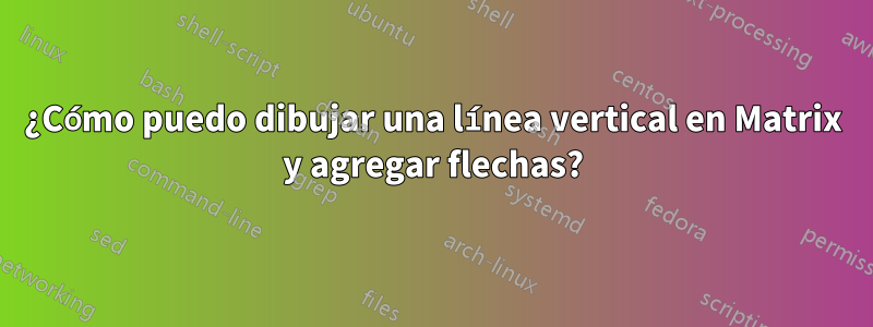 ¿Cómo puedo dibujar una línea vertical en Matrix y agregar flechas?