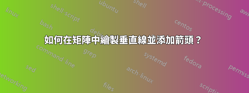 如何在矩陣中繪製垂直線並添加箭頭？