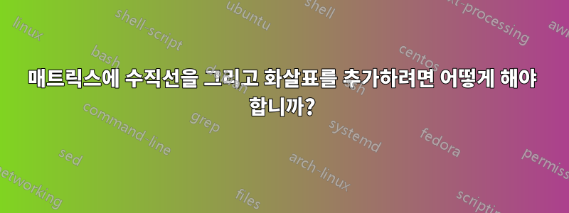 매트릭스에 수직선을 그리고 화살표를 추가하려면 어떻게 해야 합니까?