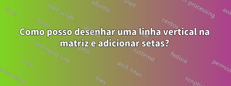 Como posso desenhar uma linha vertical na matriz e adicionar setas?