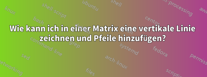 Wie kann ich in einer Matrix eine vertikale Linie zeichnen und Pfeile hinzufügen?