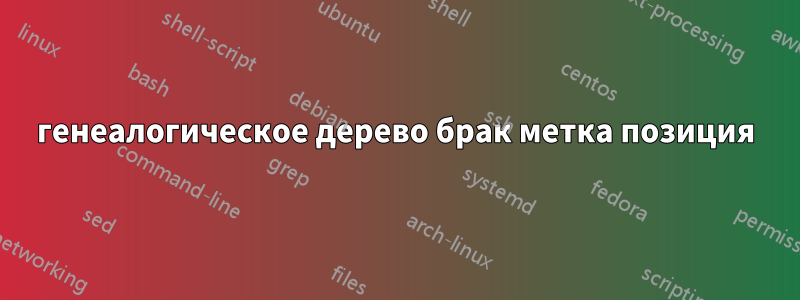 генеалогическое дерево брак метка позиция