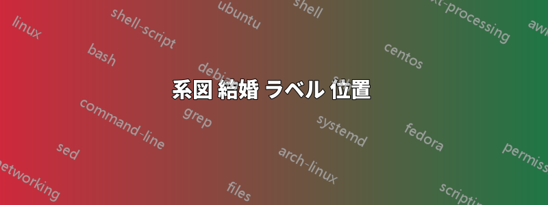 系図 結婚 ラベル 位置