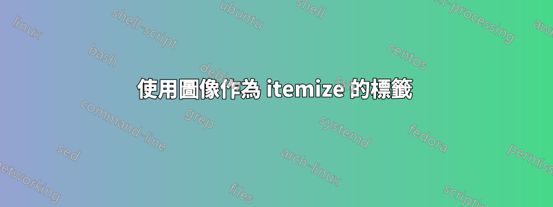 使用圖像作為 itemize 的標籤