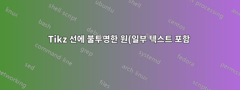 Tikz 선에 불투명한 원(일부 텍스트 포함)을 그립니다.