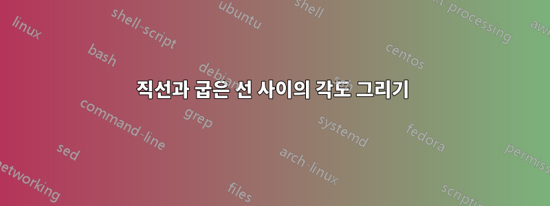 직선과 굽은 선 사이의 각도 그리기