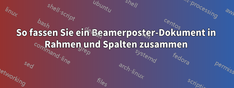 So fassen Sie ein Beamerposter-Dokument in Rahmen und Spalten zusammen