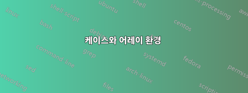 케이스와 어레이 환경
