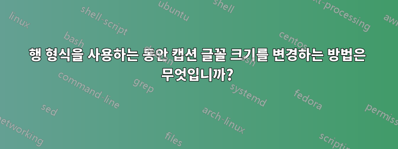 행 형식을 사용하는 동안 캡션 글꼴 크기를 변경하는 방법은 무엇입니까?