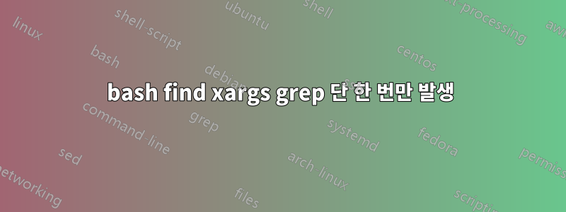 bash find xargs grep 단 한 번만 발생