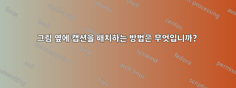 그림 옆에 캡션을 배치하는 방법은 무엇입니까?