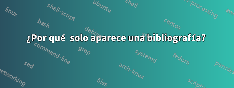 ¿Por qué solo aparece una bibliografía?