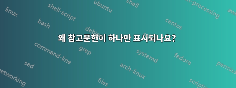 왜 참고문헌이 하나만 표시되나요?