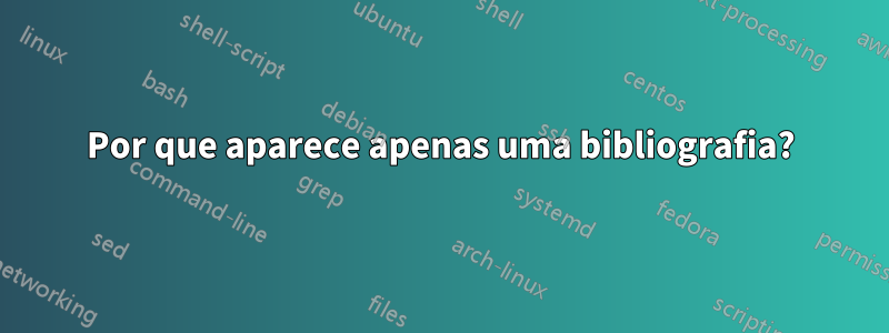 Por que aparece apenas uma bibliografia?