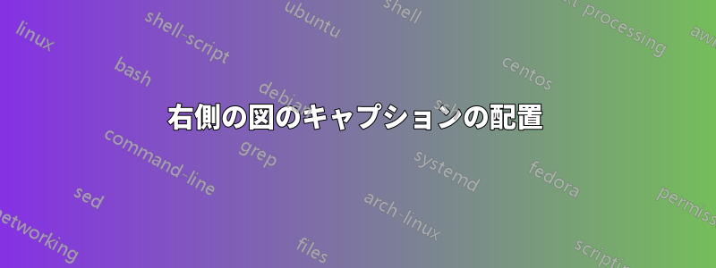 右側の図のキャプションの配置