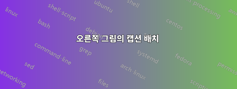 오른쪽 그림의 캡션 배치