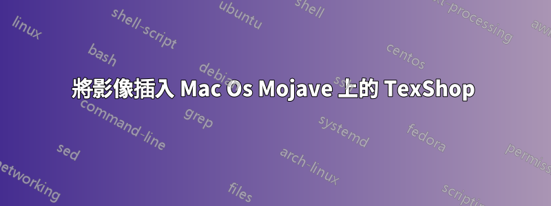 將影像插入 Mac Os Mojave 上的 TexShop