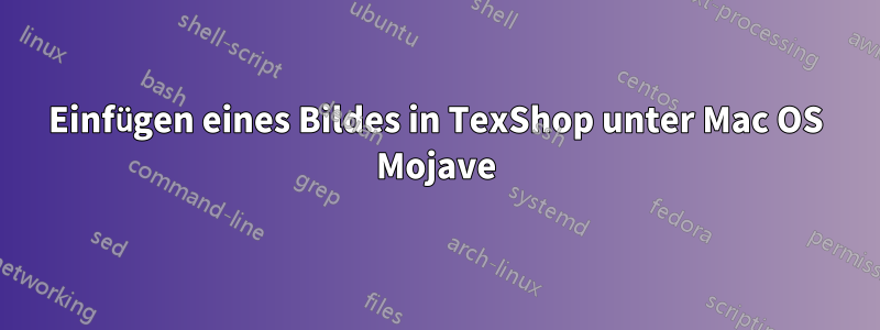 Einfügen eines Bildes in TexShop unter Mac OS Mojave