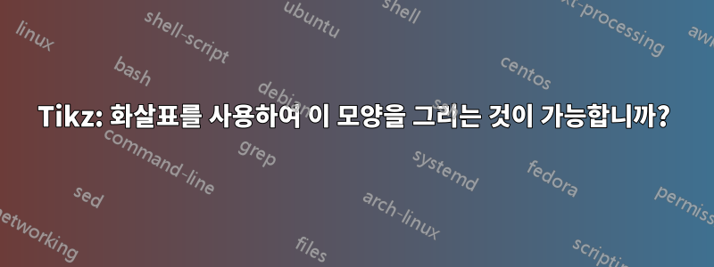 Tikz: 화살표를 사용하여 이 모양을 그리는 것이 가능합니까?