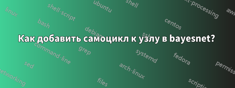 Как добавить самоцикл к узлу в bayesnet?