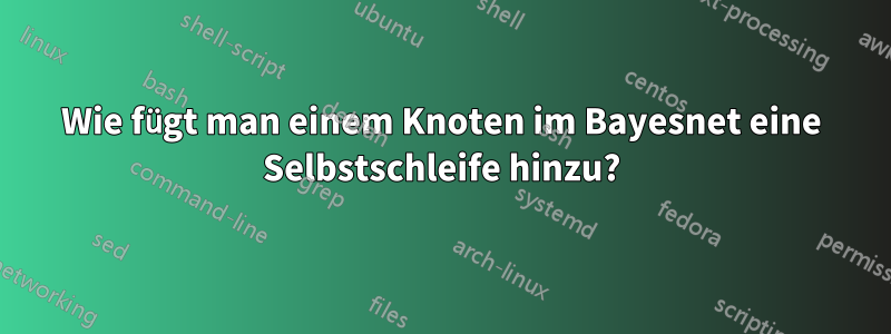 Wie fügt man einem Knoten im Bayesnet eine Selbstschleife hinzu?