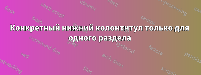 Конкретный нижний колонтитул только для одного раздела