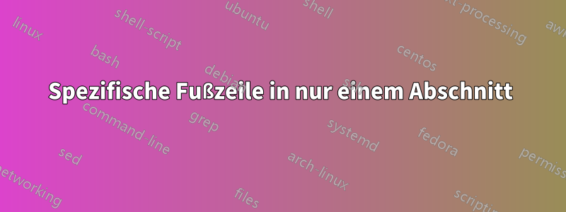 Spezifische Fußzeile in nur einem Abschnitt