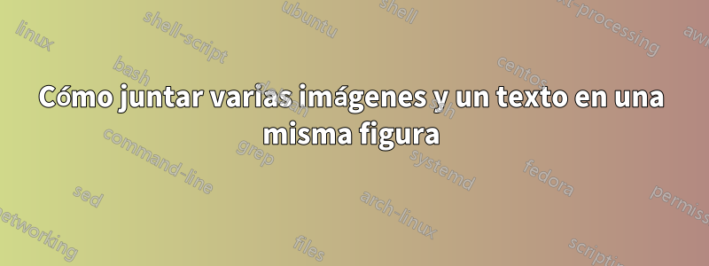 Cómo juntar varias imágenes y un texto en una misma figura