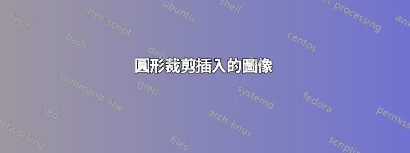 圓形裁剪插入的圖像