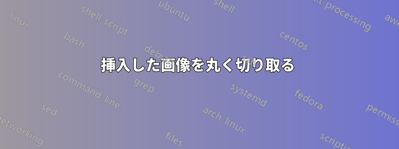 挿入した画像を丸く切り取る