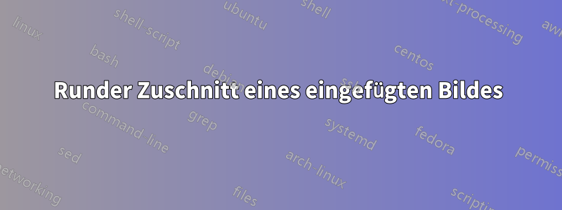 Runder Zuschnitt eines eingefügten Bildes