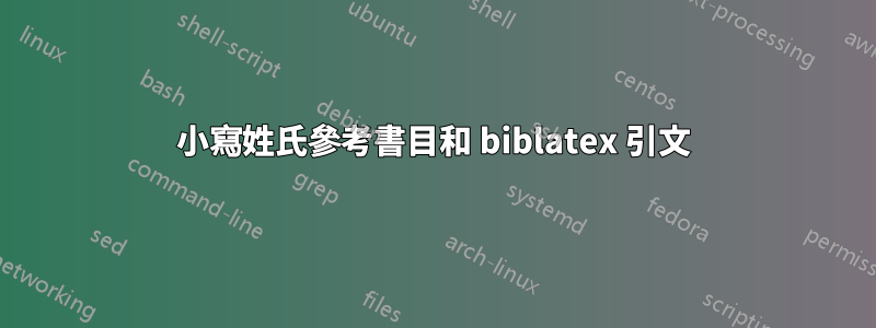 小寫姓氏參考書目和 biblatex 引文