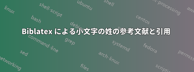 Biblatex による小文字の姓の参考文献と引用