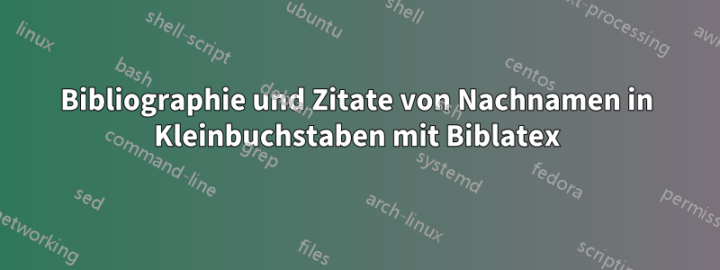 Bibliographie und Zitate von Nachnamen in Kleinbuchstaben mit Biblatex