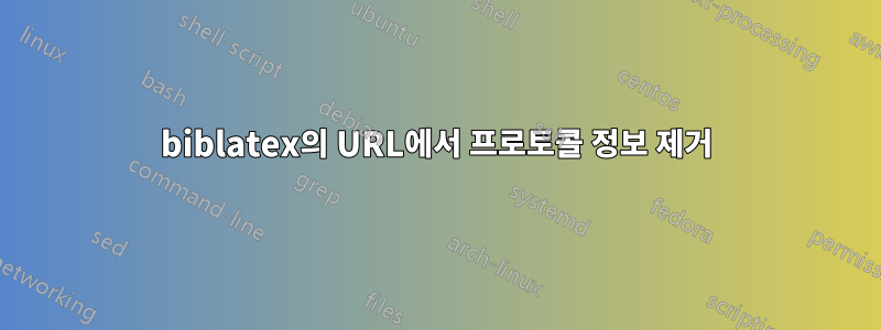 biblatex의 URL에서 프로토콜 정보 제거