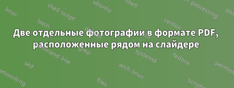 Две отдельные фотографии в формате PDF, расположенные рядом на слайдере