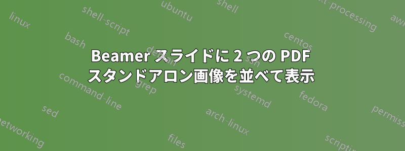 Beamer スライドに 2 つの PDF スタンドアロン画像を並べて表示