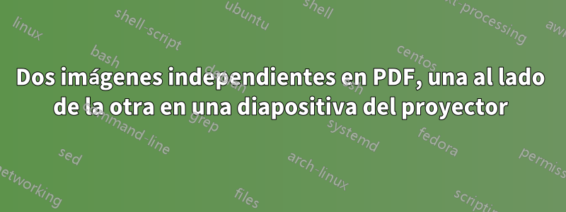 Dos imágenes independientes en PDF, una al lado de la otra en una diapositiva del proyector