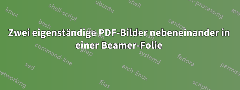 Zwei eigenständige PDF-Bilder nebeneinander in einer Beamer-Folie