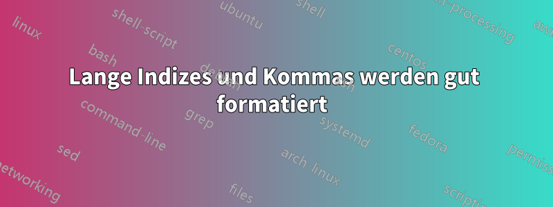 Lange Indizes und Kommas werden gut formatiert 